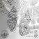 Earrings Metal "Butterflies", Color Silver