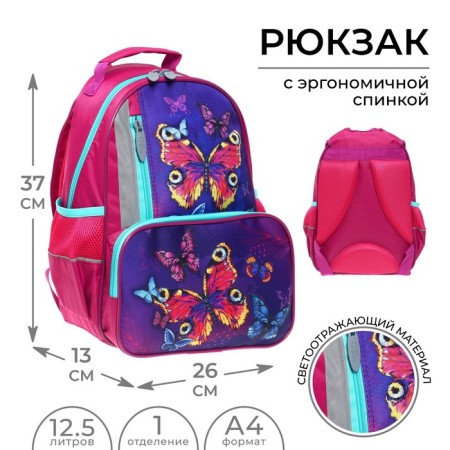 School backpack, 37 x 26 x 13 cm, ergonomic back, calligrata ORT "Butterflies"