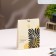 Sasha aromatic charm of the East 10 grams