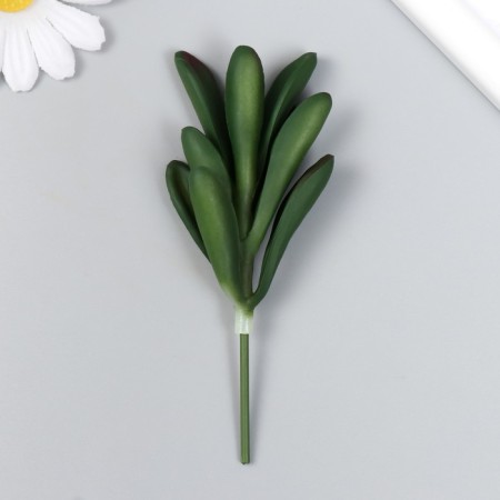 Artificial plant for creativity "Fattle - Cash Tree" 11x6 cm