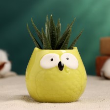 Горшок "Сова Гриня" 5х6см