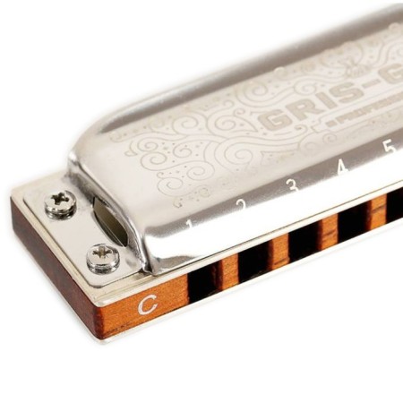 Harmonic harmonica EASTTOP, Pro40 A, diatonic-1