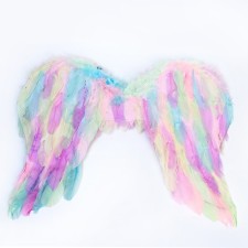 Angel wings 55 × 42 cm