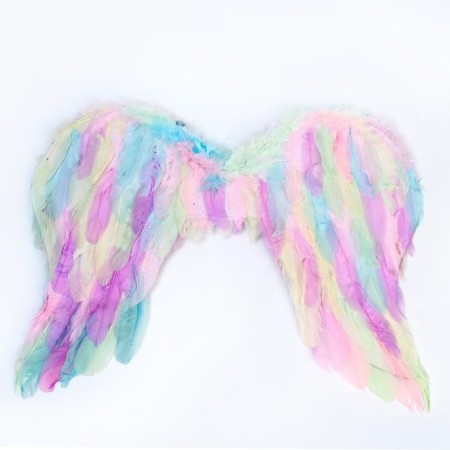 Angel wings 55 × 42 cm