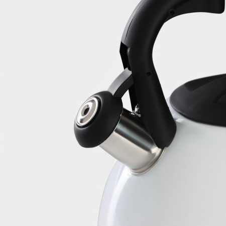 A kettle with a stainless steel whistle “Heart”, 3 l, with an indicator of heating-6