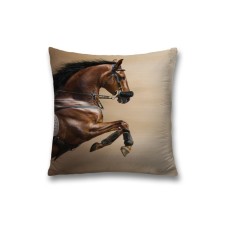 Pillowess decorative 