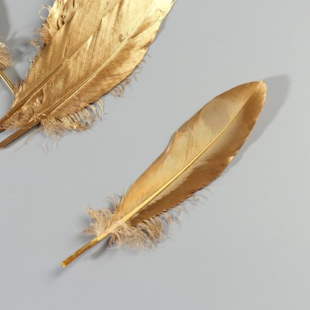 A set of goose feathers 15-20 cm, 10 pcs, golden-3