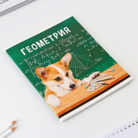 An objective note 48 sheets, A5, cute pets, with reference materials “September 1: Geometry”, cover coated cardboard 230 gr., Inner block in a cage 80 gr., Sweetie 96%, block No. 1.-1