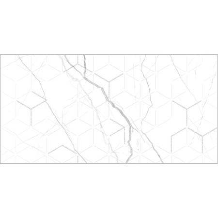 Decor Siluet GT White, GT124VG 50x25-2