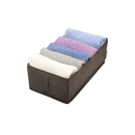 Organizer 50x25x16 cm, 2 cells