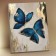 Picture on numbers with a whip 40 × 50 cm "Blue butterflies" 13 colors
