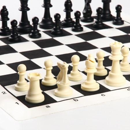 Chess in a package, figures (Pig H-4.5 cm, Ferge H-7.5 cm), Field 50 x 50 cm-1