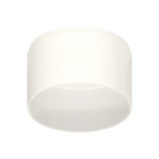 Front nozzle for a lamp body with a diameter of the hole D85mm ambrella like, Diy Spot, N8402, white matte color