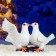 Garden figure "Two pigeons" 20x32x21cm