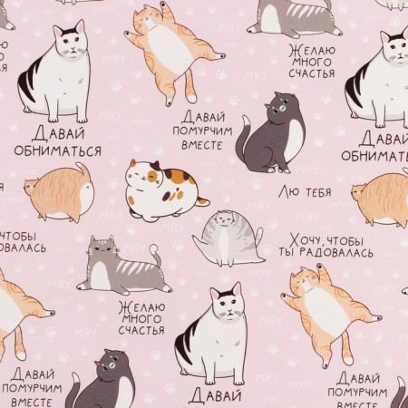 Glossy packaging paper "Cats", 70 x 100 cm-1