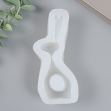 Mold Silicon 