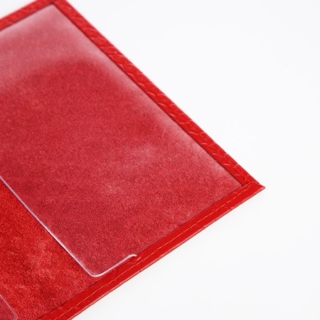Cover for passport, red color-3