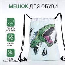Bag for shoes on the lace, white color