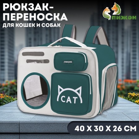 A backpack for carrying cats and dogs, transparent, 40 x 30 x 26 cm, gray-green