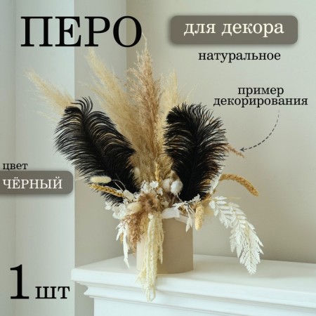 Feather for decor, size: 30-35 cm, black color