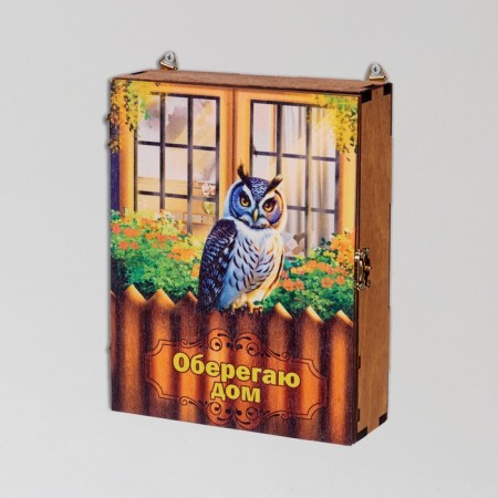 Closed Key "I am protecting the house!" owl, windows, 17x22x6 cm-1