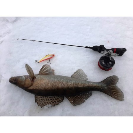 Wobbler sinking vertical LJ Pro Series Basara Vib S, 8 cm, color 311-3