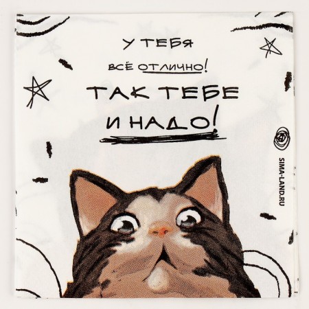 Paper napkins 25*25cm "cats" (set 20 pcs)-1