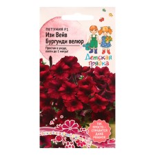 Flowers of Petunia 