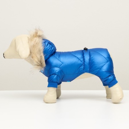 The overalls "boy" with a weight, size 12 (ds 28 cm, og 38 cm, Osh 27 cm), blue hue-4