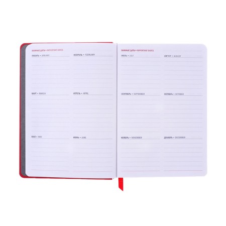 Dated diary 2025, A6+, 176 sheets "Lyon", solid cover, pancake embossing, with liesa, block 80 g/m2, red-8