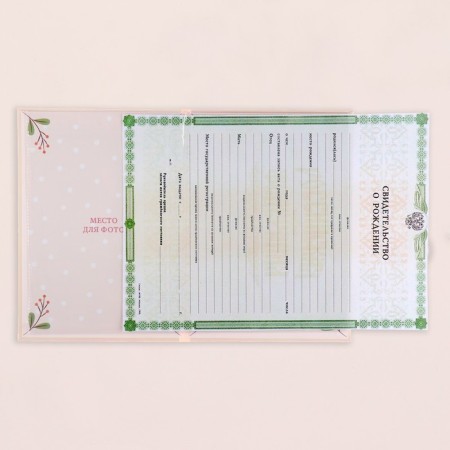 Folder for birth certificate "Girl" Bow, branches, a5-3