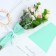 Flower package "EVERY DAY IS A New Begining", mint, 30 x 10 x 45 cm