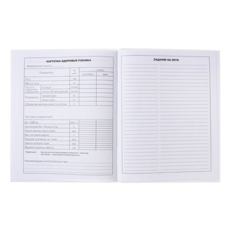 Diary for grades 5-11, hard cover, "cute and funny", glossy lamination, block 60g/m2-11
