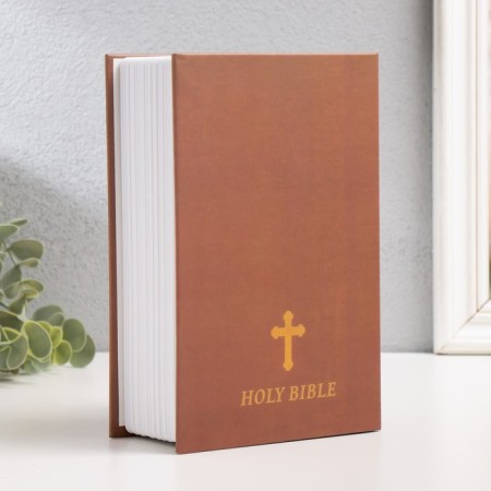 Book Book Plastic, Metal "Bible" 5.5x12x18 cm-4