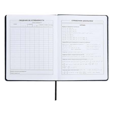 School diary for grades 1-11, solid cover, artificial leather, applique, pancake embossing, metal scenes, silk-screen water, lies, 48 ​​sheets, block 80g/m2, blue-8