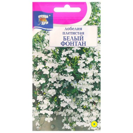 Flower flowers of lobelia climbing "White Fountain", 0.03 g