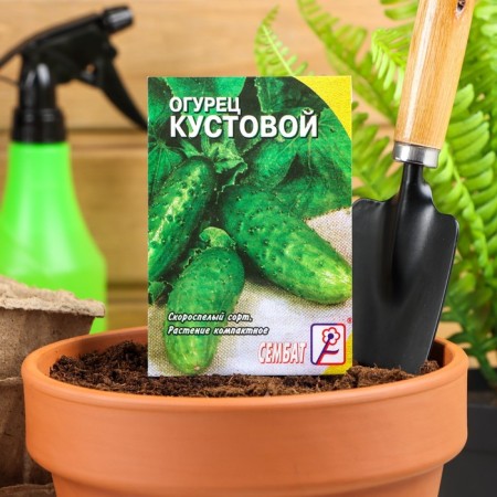 Cucumber seeds "Kustova", 0.5 g