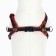 Kit "jeans", leash 120 x 1 cm, og 25-40 cm, red