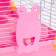 The cage for rodents "Pigzon", 31 x 24 x 30 cm, pink