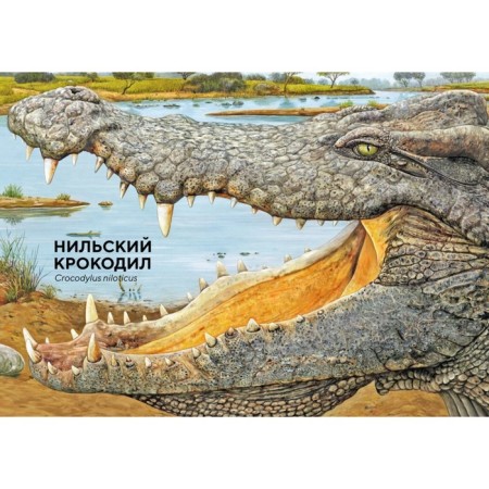 African animals are in full -size. Haag H.-2
