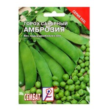 Seeds of XXXL peas 