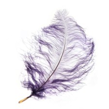 Feather for decor, length: from 45 to 60 cm, gray color