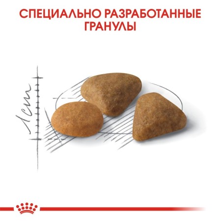 Dry food RC Exigent Savour Sensation for cats fucked to taste, 2 kg-4