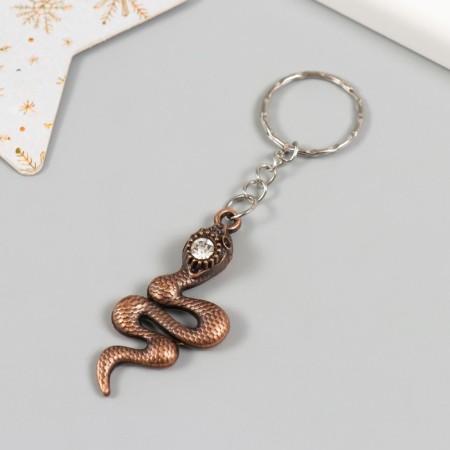 Metal keychain "Snake with rhinestones" mix 5.5x2 cm-2