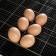 Incubator of the household "Cinderella", for 70 eggs, automatic revolution, 220 iv/12 V