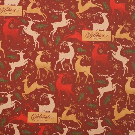 Package Crafts "Deer", 50 x 70 cm, New Year-1