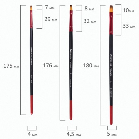 System of synthetics 10 pieces, Brauberg Premium, round No. 1, 2, 3, 5, 8; Flat No. 2, 4, 6, 8, 10-5