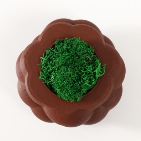 Concrete Kashpo "Bubbles" with moss brown 8x8x5cm (moss green stabilized)-2