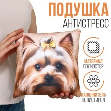 Antistress pillow 