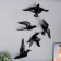 Souvenir Polystone Wall Decor "Seagull" Mix Black